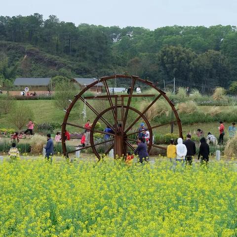 广州市迳下村在什么地方