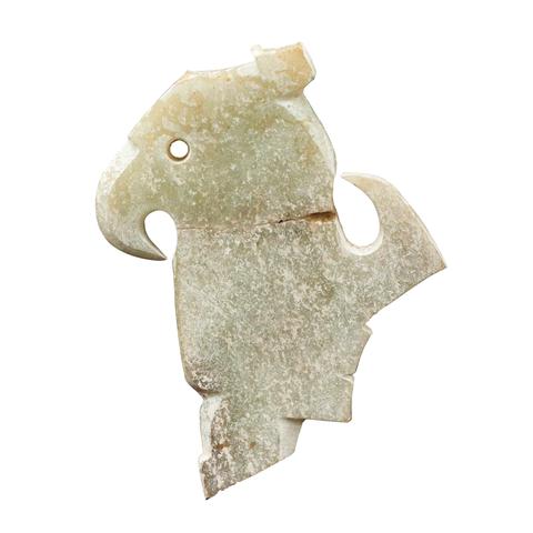 济南市多少人养鹦鹉最多