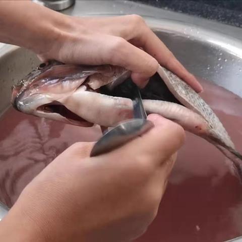 临沂市罗非鱼冬天怎么钓