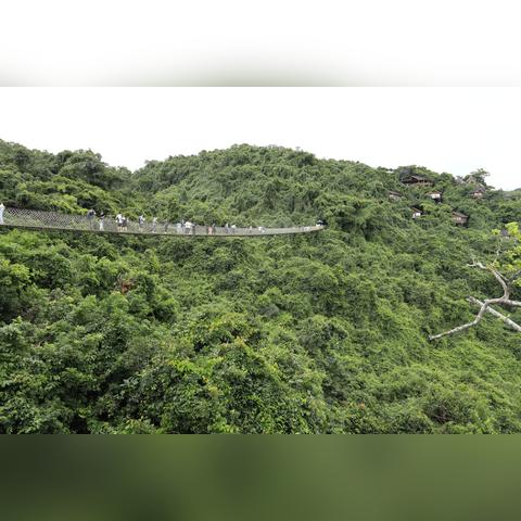 上海飞到海南哪些城市