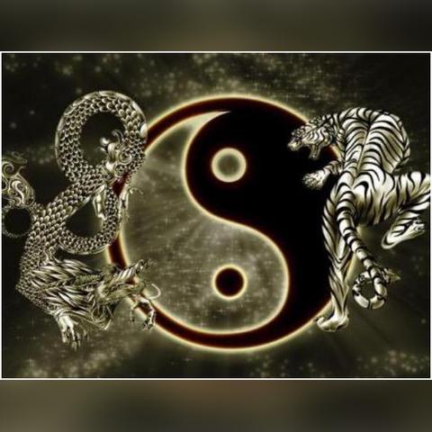 为什么算命迷茫_算命越算越迷茫(为何算命的人命运不好)