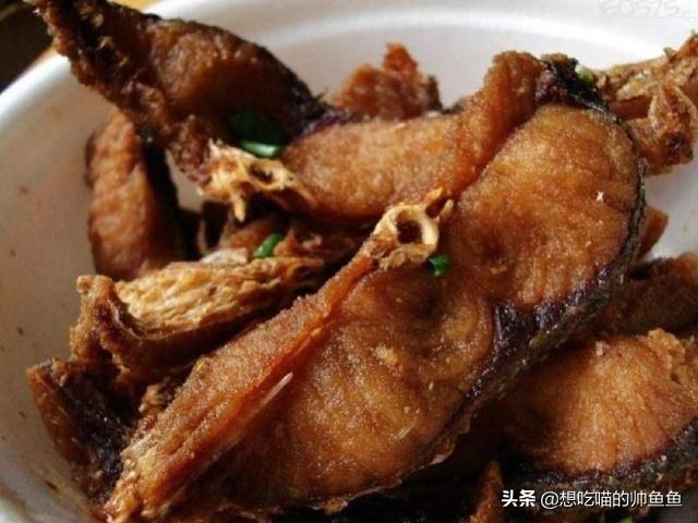 武强美食是什么（衡水最大的魅力是什么）