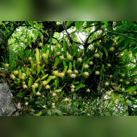 南宁市高中报名怎么报名