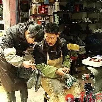 厦门 聋哑人的相关长尾关键词有哪些