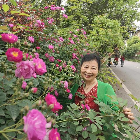 佛山市云林花海在哪里啊
