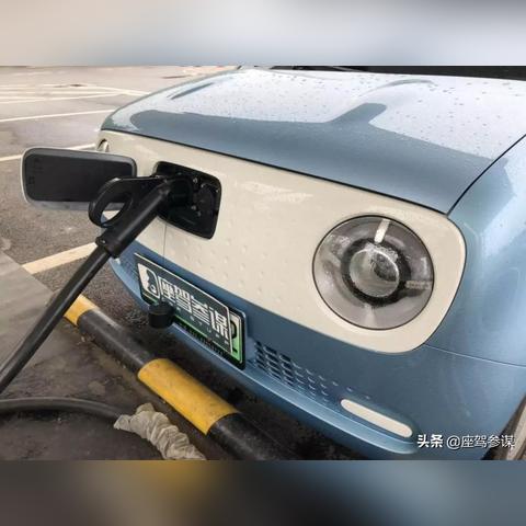 成都市区哪里买菜贵