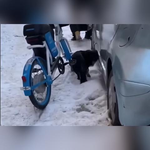 沈阳市买的楼房怎么样啊