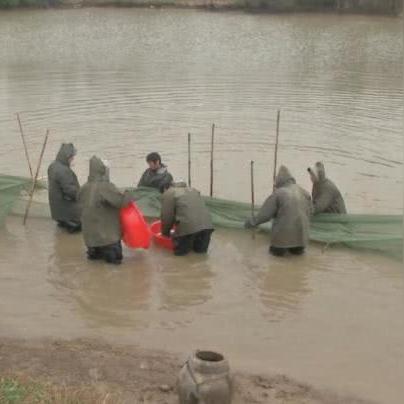成都市彭大姐串串火锅店的长尾关键词有哪些