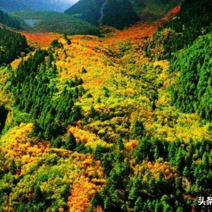 电影原始部落的长尾关键词有什么