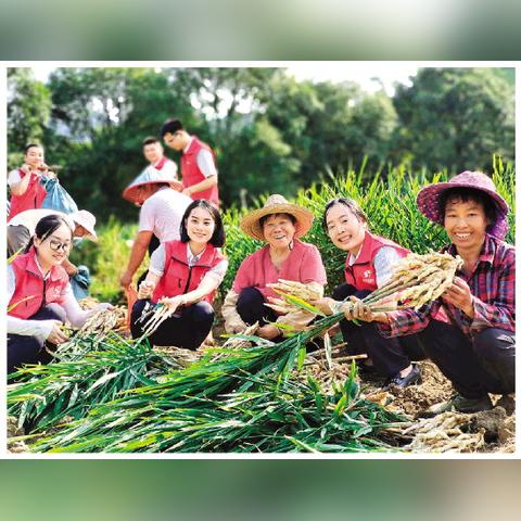 桂林市新农合怎么办理