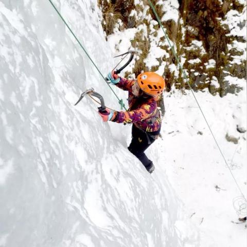 2025.11.26成都今日气温变化情况