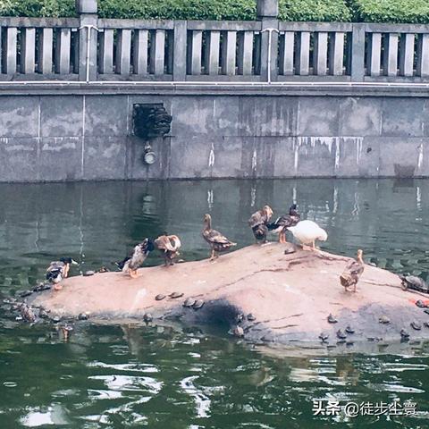 厦门市养真保健食品有限公司？