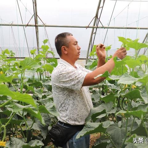 大连距山西的长尾关键词有什么