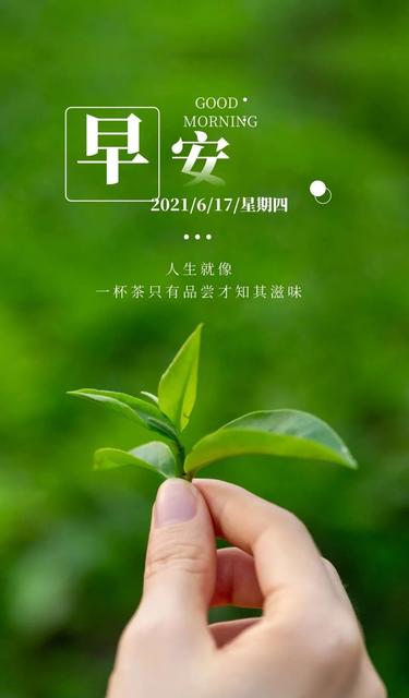 2021年早安心语唯美语录