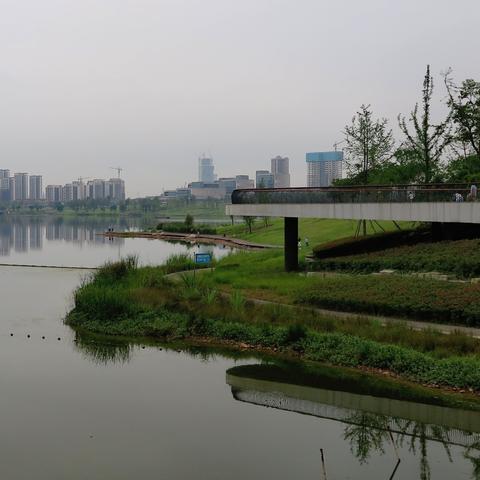 成都到广东东莞市机票的长尾关键词有哪些