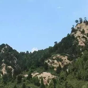 渭南本地人工智能ai的相关长尾关键词有哪些