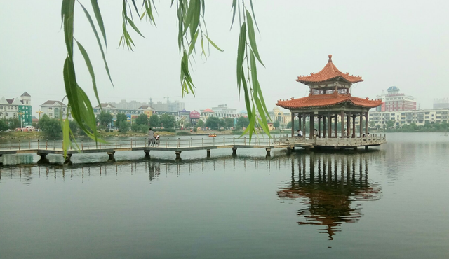 曹县是什么梗