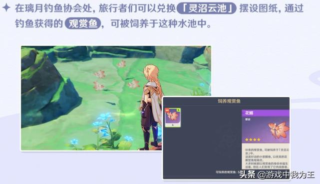 原神怎么看鱼吃啥（原神新活动申鹤吃什么加好感多）