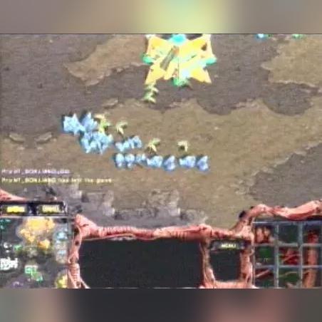 game free资源网（探索Game Free资源网，游戏爱好者的宝藏之地）