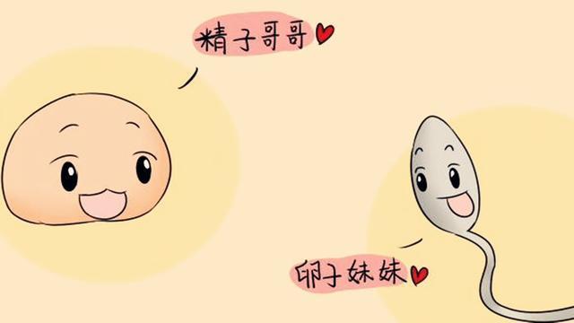 卵子老化正常吗
