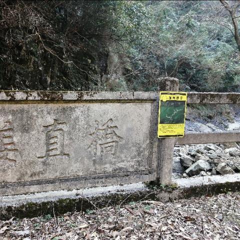 宁波市陶坑村是哪个区