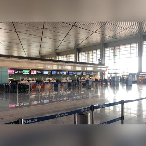 哈尔滨14日疫情消息相关长尾关键词有哪些