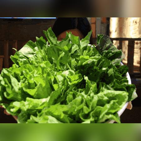 成都市温江区火锅团购的长尾关键词有哪些