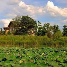 哪个是长沙市区啊