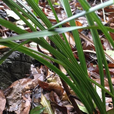 兰州市环兰公路在哪里建