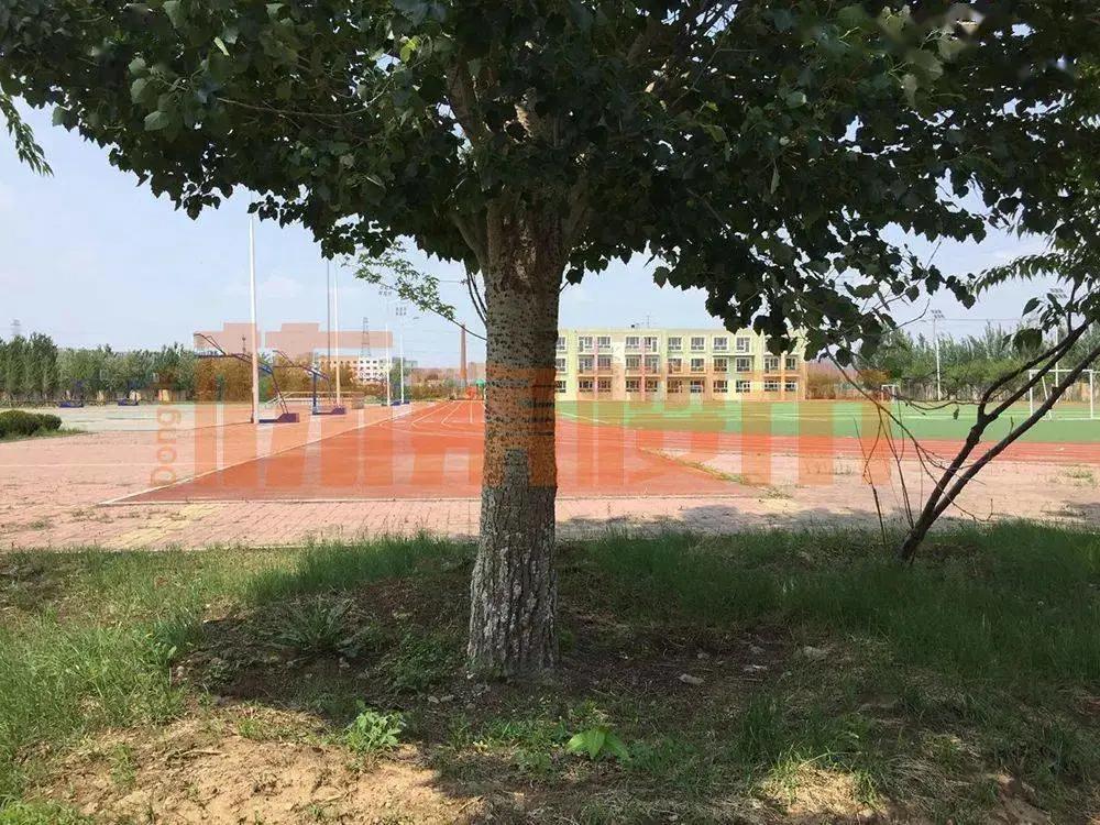 2020年沈阳中学排行榜：谁荣登榜首，谁跻身TOP5？