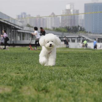 温州市三医加强针疫苗的长尾关键词有什么