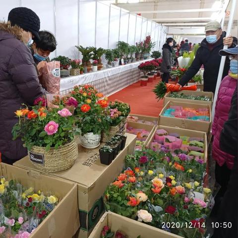 天津有什么展销会友谊路