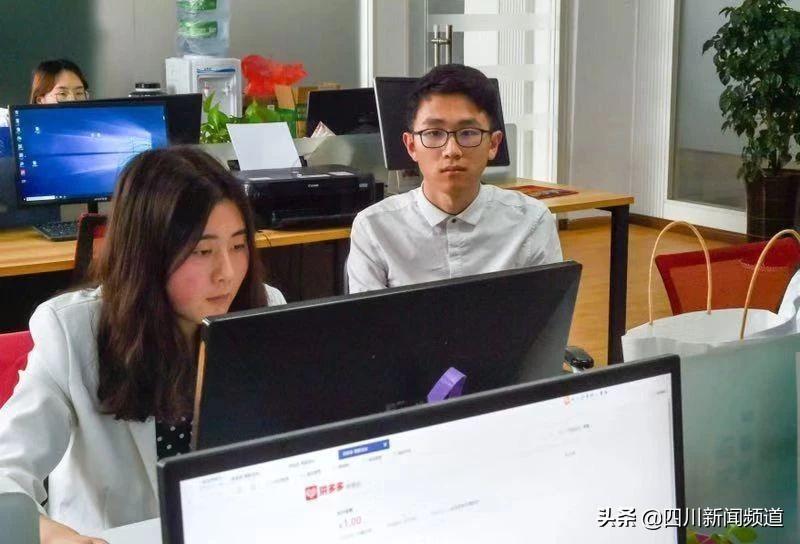 柑橘栽培技术员招聘要求（当年被逼上兴趣班的孩子）