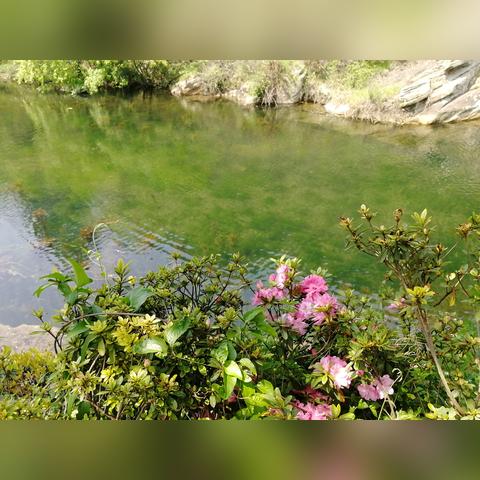 武汉附近哪里有海？