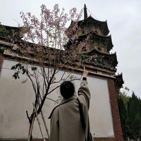 泉州市古城办怎么样