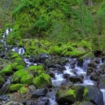 无锡市芙蓉公园在哪里