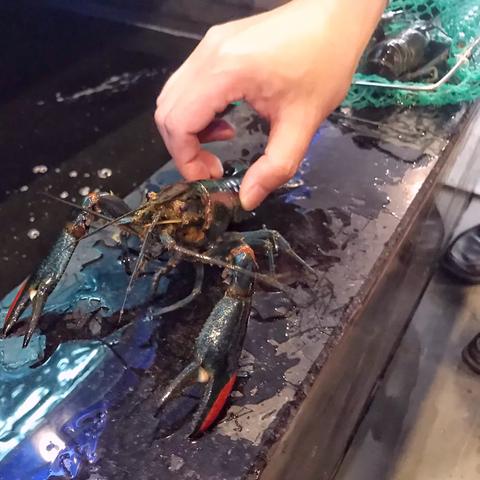 小龙虾电影的长尾关键词有什么