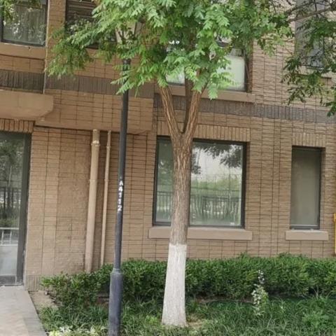 【天津 老人院】相关长尾关键词有哪些