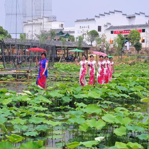 武汉市统筹医保是从什么时候起