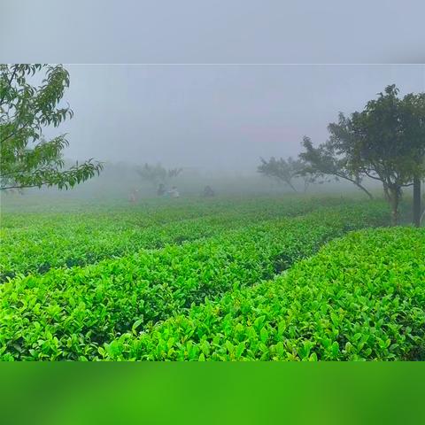 桂林生态之美相关长尾关键词有哪些