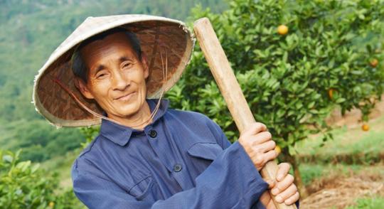 现在农村种地的人大多是6070后，10年后，农村的土地由谁来种？