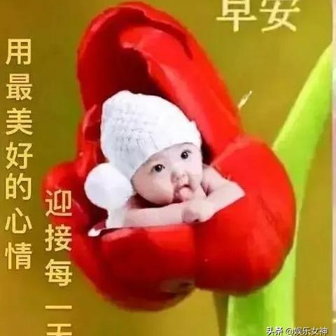 重庆阳光100怎么样