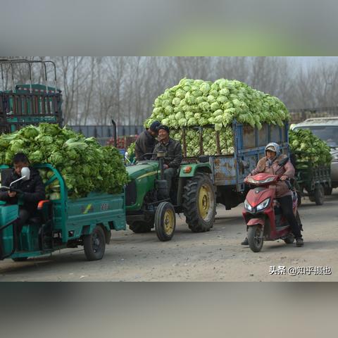 沈阳市哪个秋菜点卖货好