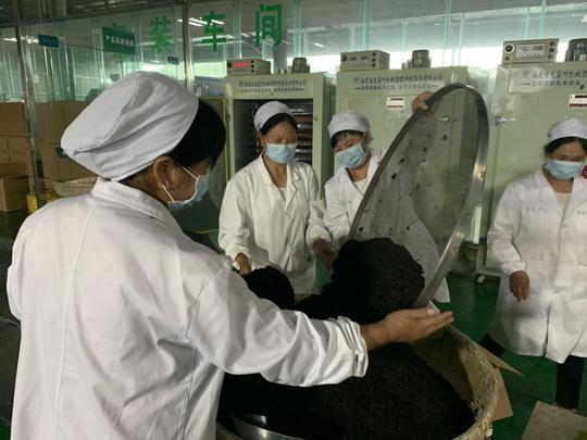 安顺：夏秋茶“拼配”出口忙茶企增收茶农笑