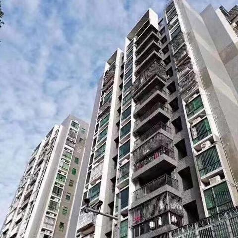 深圳市房子绿本是什么