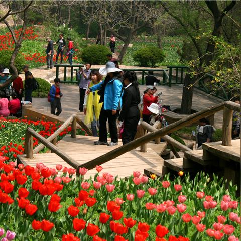 济南的春天教学设计相关长尾关键词有哪些