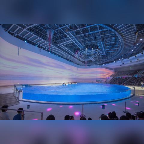 舞台恋曲 电影免费观看的长尾关键词有哪些