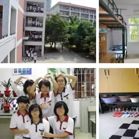 厦门市宠物美容洗澡多少钱