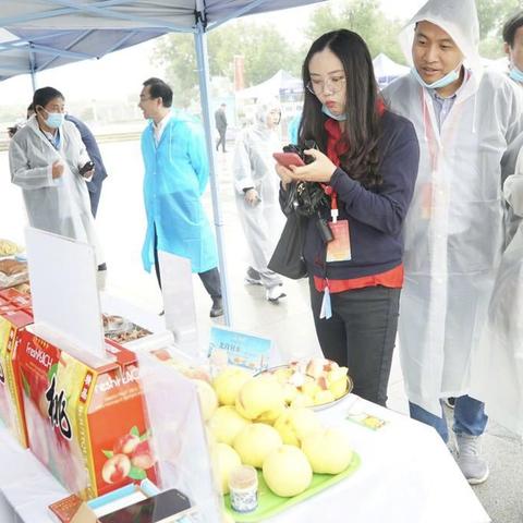 保定市药博园在哪里