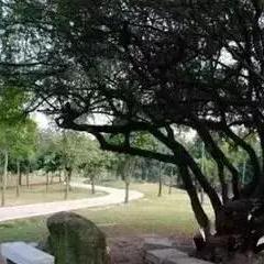 东莞市摩托骑行装备店在哪里